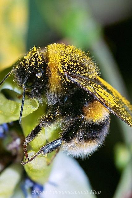   - 24  2016  20:31 - 6