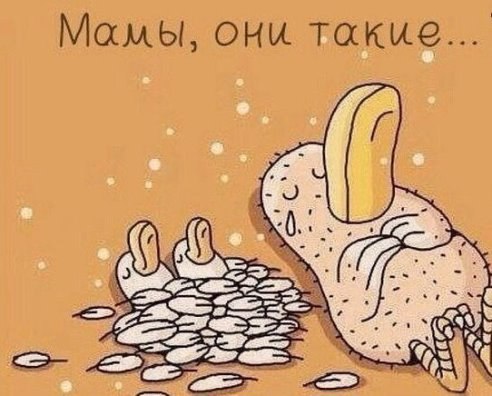 .https://fotostrana.ru/away?to=/sl/kxC2 - 20  2016  19:56