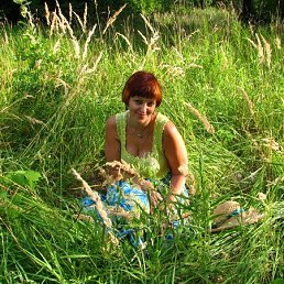 �����, ������ ��������, 62 ����