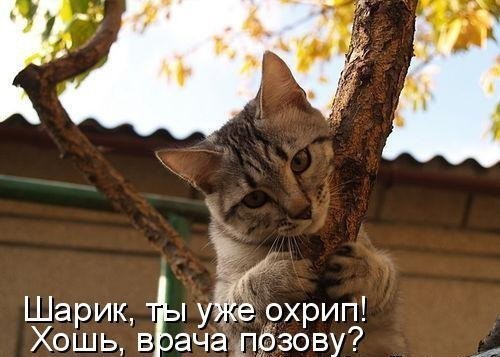  -  - 1  2016  20:25
