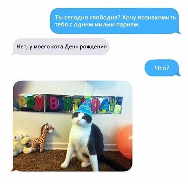   - 13  2016  17:38