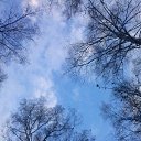 ���� �������, ����������, 50 ��� - ��������� 18 ��� 2016 � ������ �����������!!!�