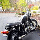 ���� �����, ������, 33 ���� - ��������� 3 �������� 2016 � ������ ������� T100�