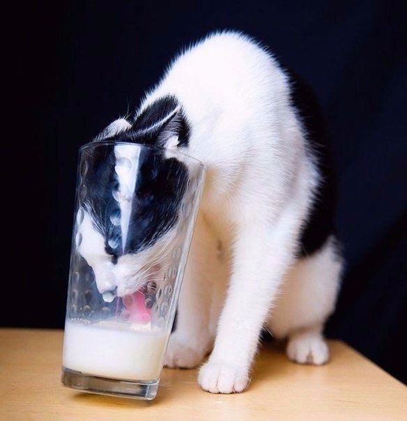 -,   .