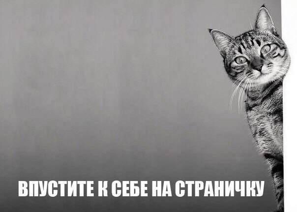       - 7  2016  18:55