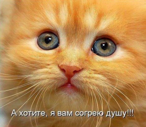 ***Victoria Viktorovna*** - 28  2016  14:35