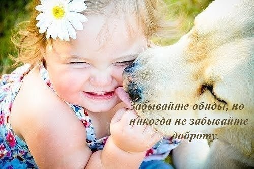Нельзя обидеть Добротой, Любовью, Светом! Обидеть можно лицемерием, ложью, злом. Во всей Вселенной и ...