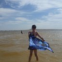 ���� ������, ���������, 43 ���� - ��������� 15 ������� 2016 � ������ ���� ����������