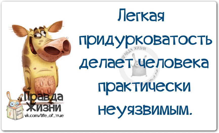   - 3  2016  15:43