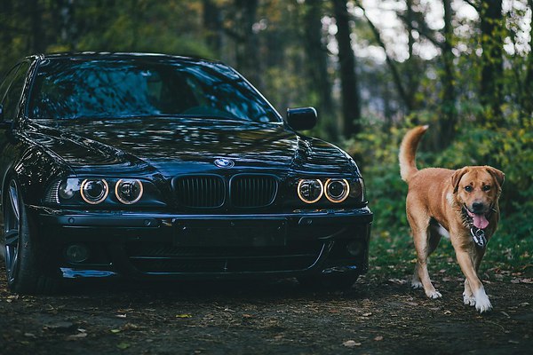 I Love Cars - 24  2016  01:26