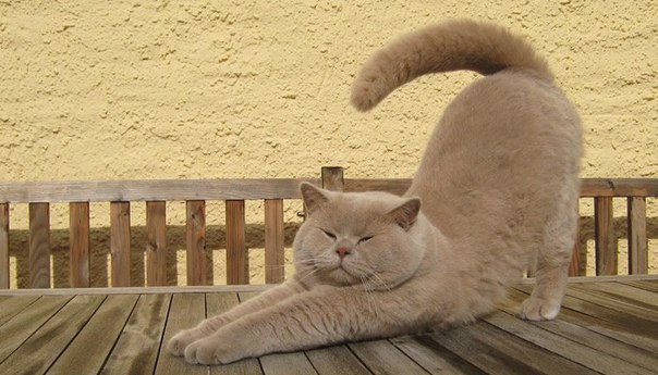   :3