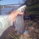 ������ �� ������� ���� ����������