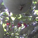���� �����, ���� - ��������� 24 ���� 2016 � ������ ���� ����������