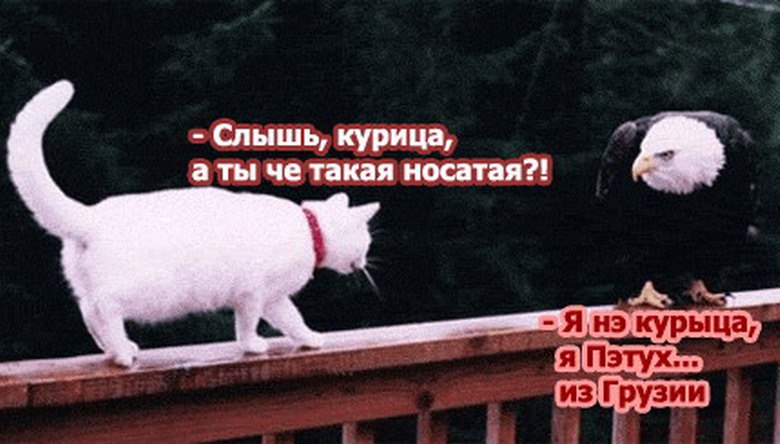  - 19  2016  17:29