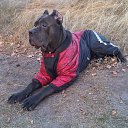 ����� �� ������� ������ � �����