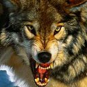 ���� ��������� �������, ��������-��-������, 67 ��� - ��������� 3 ���� 2016 � ������ �2015...�