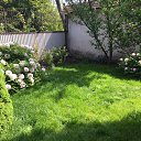 ���� �������, ��������������, 41 ��� - ��������� 28 ������� 2016 � ������ ���� ����������