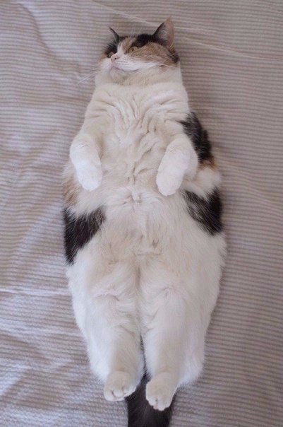  -    - 2