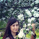 ���� ���������, ������, 33 ���� - ��������� 28 ��� 2016 � ������ ���� ����������