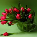 ���� Al�vtina, ���������, 57 ��� - ��������� 7 ��� 2016 � ������ ������ ��������
