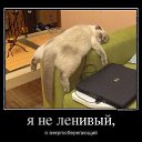 ���� Nikolay, �����-���������, 38 ��� - ��������� 13 ���� 2016