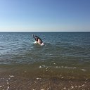 ���� ����, ��������, 45 ��� - ��������� 15 ������� 2016