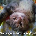 ���� ������, ������, 44 ���� - ��������� 20 ������ 2016 � ������ ������ ��������