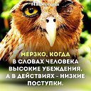 ,  -  12  2016    