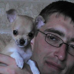 �������, �����-���������, 44 ����