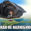 ���� �������, ������ - ��������� 15 ����� 2016 � ������ ������ ��������