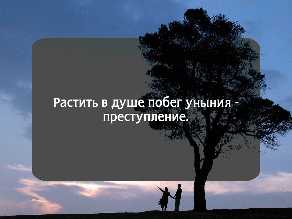 , ,  - 18  2016  06:06