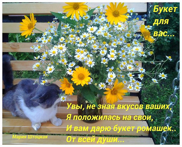 ~Dasha~ - 19  2016  17:33