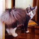 ���� �������, ������, 51 ��� - ��������� 10 ���� 2016 � ������ ���� ����������