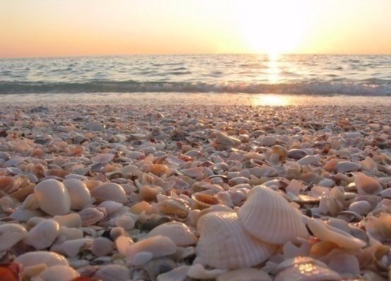     .#nature@travel.blog