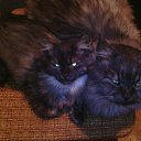 ���� ����, �����, 34 ���� - ��������� 3 ��� 2016 � ������ ��� ��� ��!�