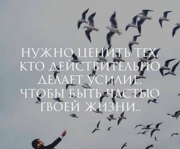   . . . - 1  2016  12:15