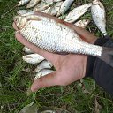  ,  , 40  -  27  2016    