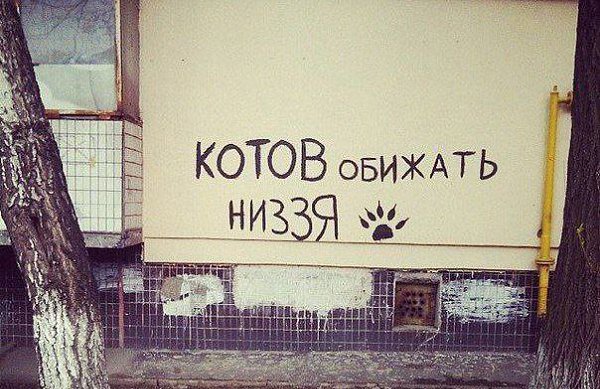  -  - 11  2016  16:24