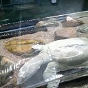 ���� �������, ���������, 58 ��� - ��������� 14 ���� 2016 � ������ ������