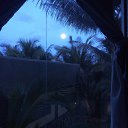 ���� ������ ������, ������, 41 ��� - ��������� 20 ���� 2016 � ������ ���� ����������