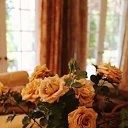 ���� �������, ������������, 61 ��� - ��������� 7 ������ 2016 � ������ ������ ��������