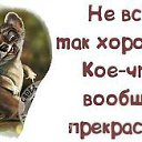  ,  -  5  2016    
