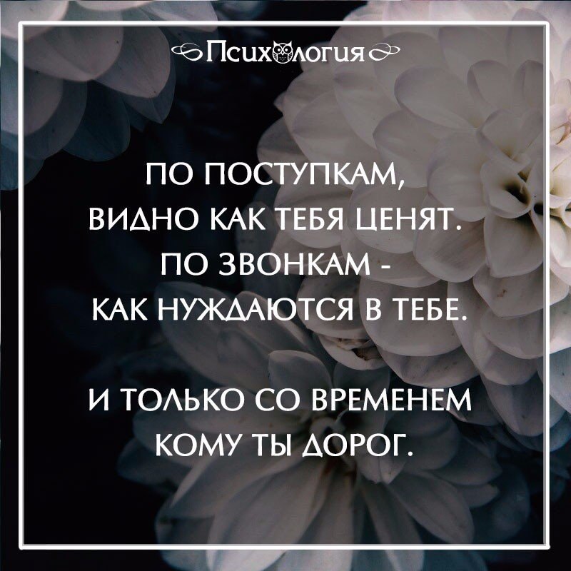  - 11  2016  19:54
