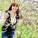 ���� �����, ��������, 61 ��� - ��������� 1 ��� 2016 � ������ ������ ��������