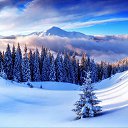 ���� Dorel, �������, 52 ���� - ��������� 27 ���� 2016