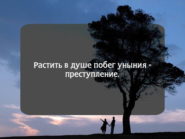 , ,  - 18  2016  06:06