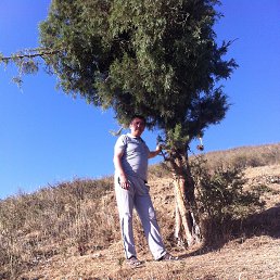 Baxrambek, ������������, 55 ���