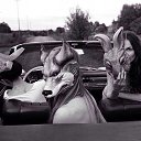 ���� �������, �������������, 33 ���� - ��������� 14 ���� 2016 � ������ ������ ��������