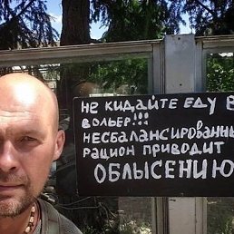 ���� ������, ������ - ��������� 20 ���� 2016