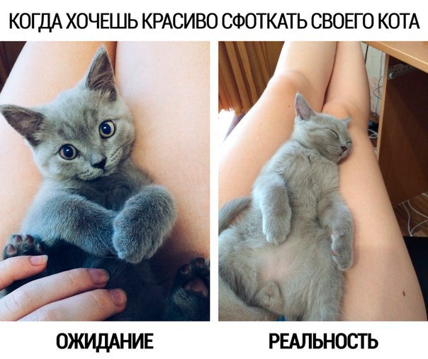  -  - 26  2016  23:23